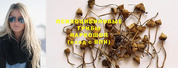 мескалин Баксан