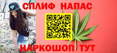 альфа пвп Владикавказ