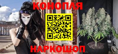 альфа пвп Владикавказ