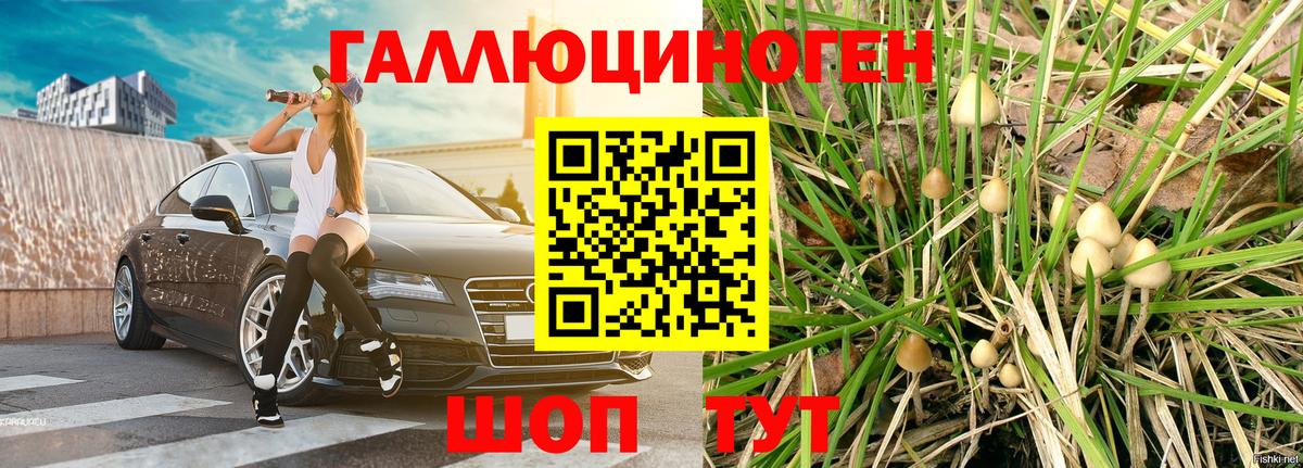 Радужный  Галлюциногенные грибы мухоморы  что такое   Вход с VPN 